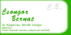 csongor bernat business card